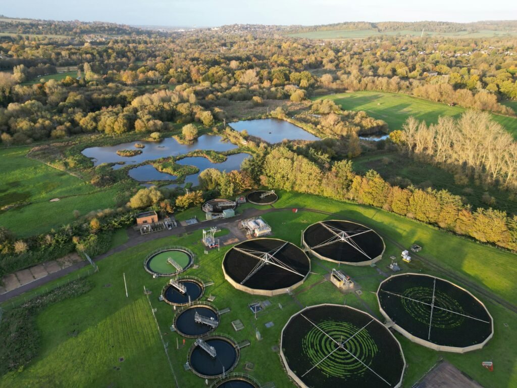 AI in environmental monitoring